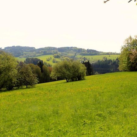Penzion Ve Stodole Zlata Olesnice  Esterno foto