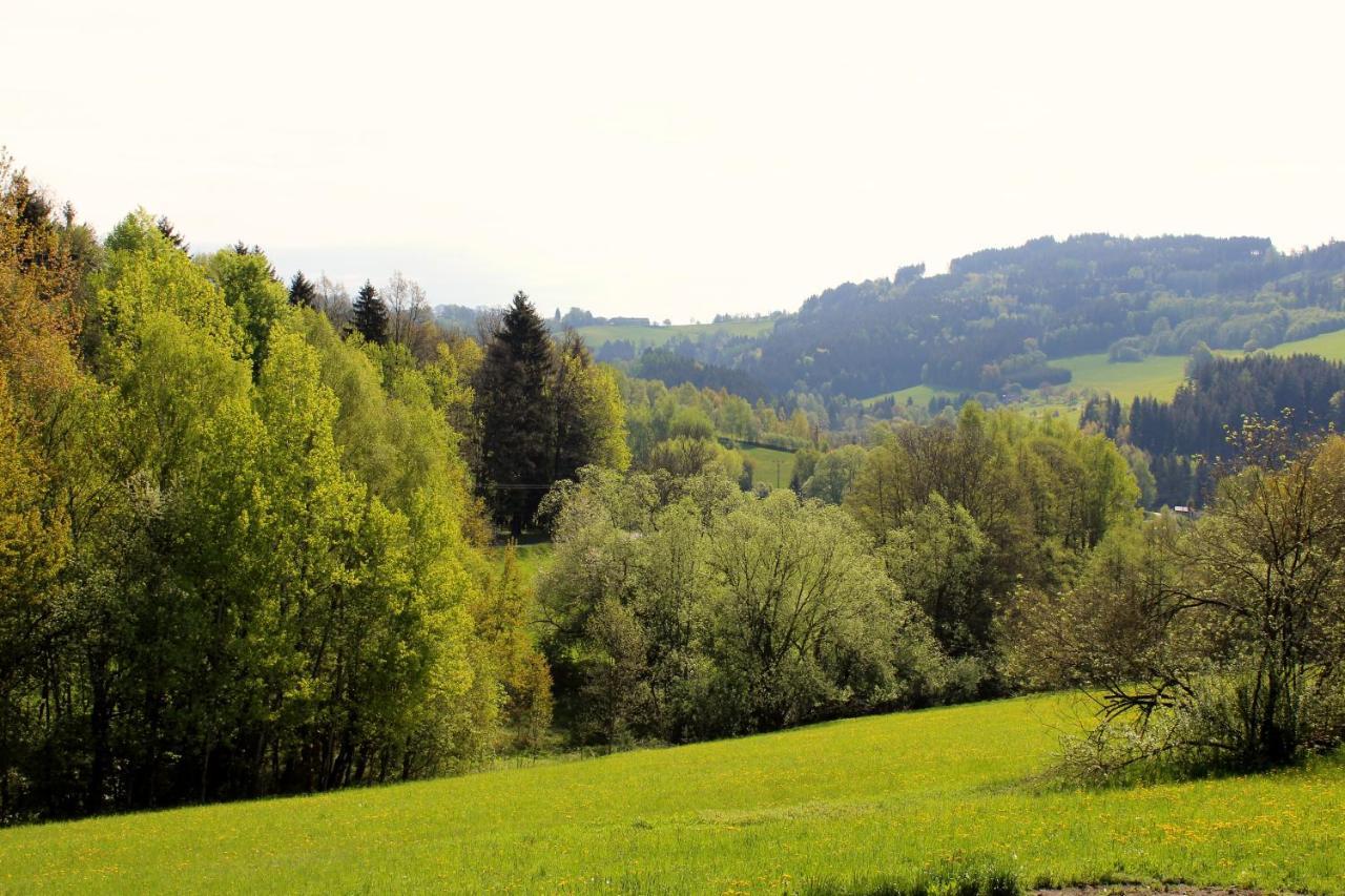 Penzion Ve Stodole Zlata Olesnice  Esterno foto