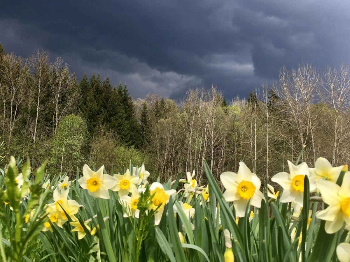 Penzion Ve Stodole Zlata Olesnice  Esterno foto